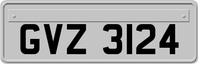 GVZ3124