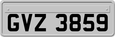 GVZ3859