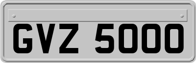 GVZ5000