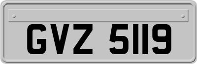 GVZ5119