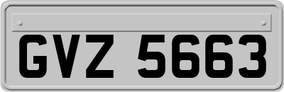 GVZ5663
