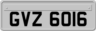 GVZ6016