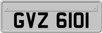GVZ6101