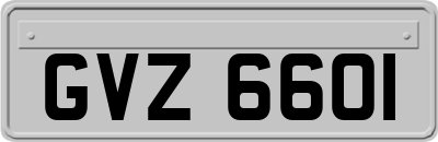 GVZ6601
