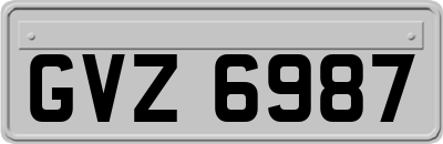 GVZ6987