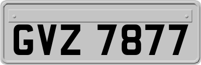 GVZ7877
