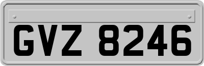 GVZ8246