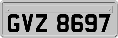 GVZ8697