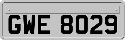 GWE8029