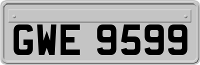 GWE9599