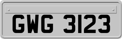 GWG3123