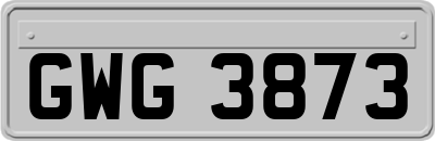 GWG3873