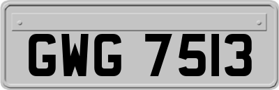 GWG7513