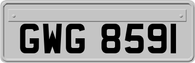 GWG8591