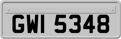 GWI5348
