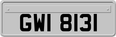 GWI8131