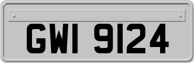 GWI9124