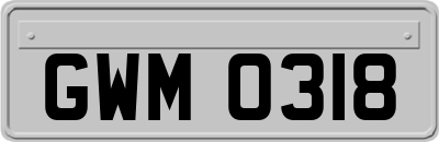 GWM0318