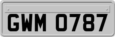 GWM0787