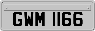 GWM1166