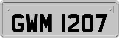 GWM1207