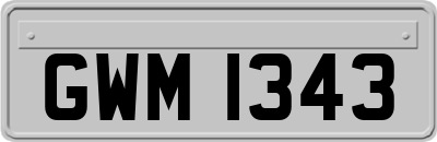 GWM1343