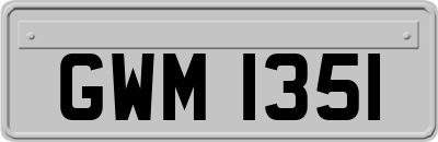 GWM1351