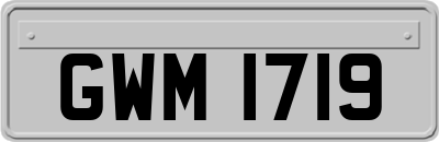 GWM1719