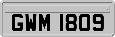 GWM1809