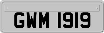 GWM1919