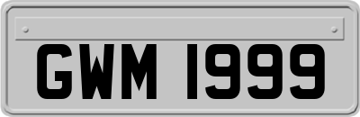 GWM1999