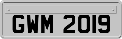 GWM2019