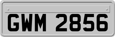GWM2856
