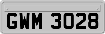 GWM3028