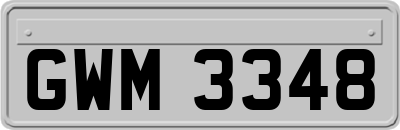 GWM3348