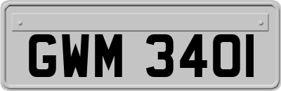 GWM3401