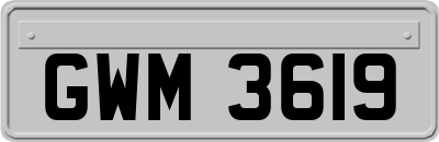 GWM3619