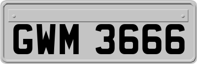 GWM3666