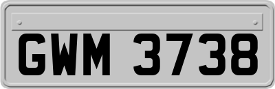 GWM3738