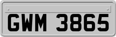 GWM3865