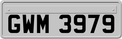 GWM3979