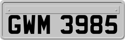 GWM3985