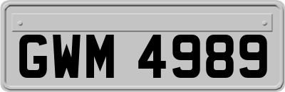 GWM4989