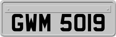 GWM5019