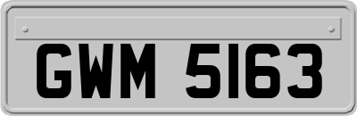 GWM5163
