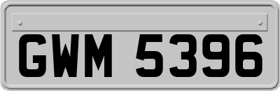 GWM5396