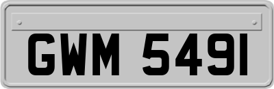 GWM5491