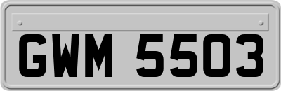 GWM5503