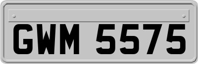 GWM5575