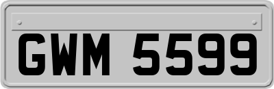 GWM5599
